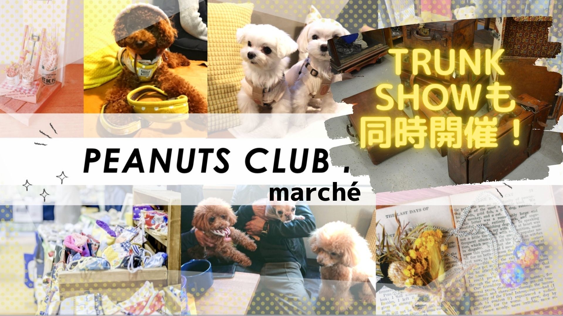 12/18-19　PEANUTS CLUB marché & TRUNK SHOW