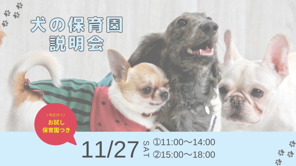 犬の保育園 神楽坂ピーナッツクラブ