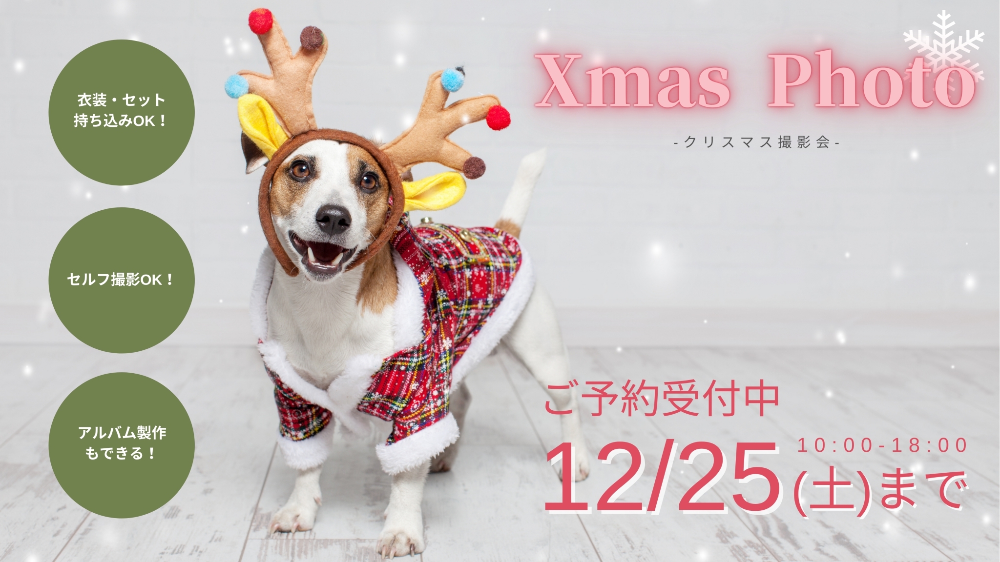 【12/6〜12/25】愛犬とのクリスマス 撮影会